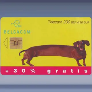Extra - Teckel (b) (2001)