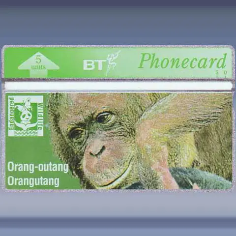 Oerangoetan (mei-1994)