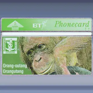 Oerangoetan (mei-1994)