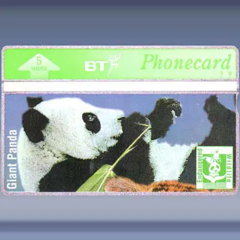 Panda (mei-1994)