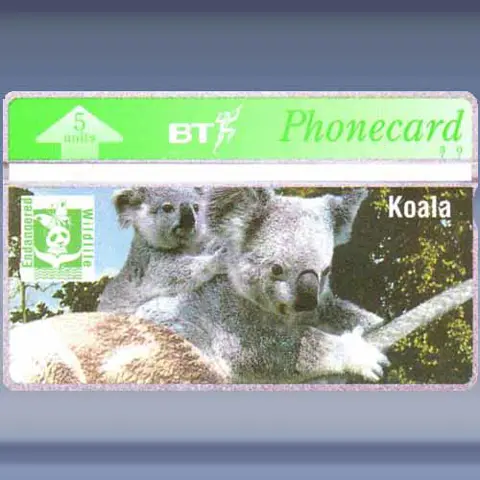 Koala (mei-1994)