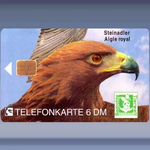 Wildlife 1 - Steenarend (1994)