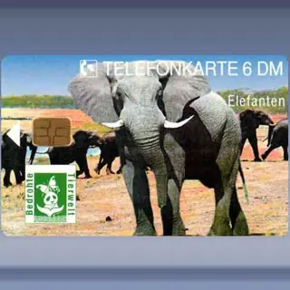 Wildlife 2 - Olifanten (1994)
