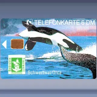 Wildlife 3 - Orca (1994)
