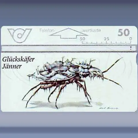 Glcksk&auml;fer-J&auml;nnar (1995)