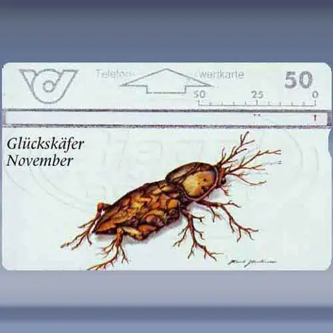 Gl&uuml;cksk&auml;fer-Novembre (1996)