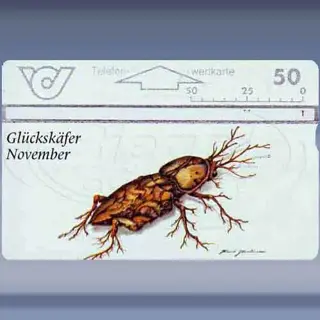 Gl&uuml;cksk&auml;fer-Novembre (1996)