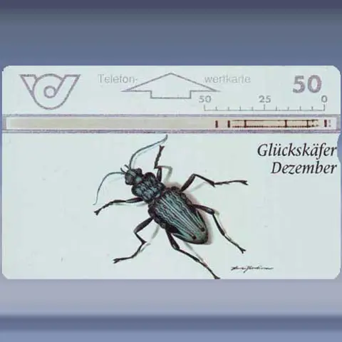 Glückskäfer (1997)