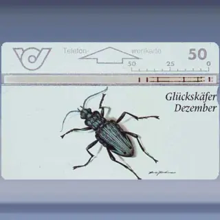 Glückskäfer (1997)