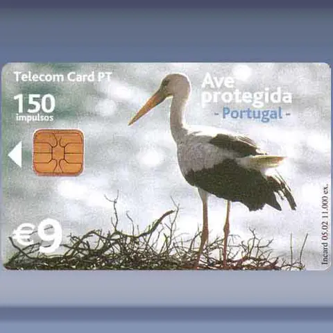 Fauna - Cegonha Branca (2002)