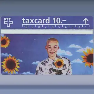 Boy between sunflowers (525A) (1995)