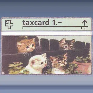 Körner - Pussicat 1 (209L) (1992)