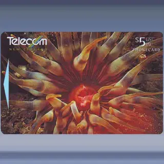 Ocean Odyssey (1997)