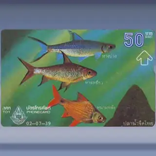 Fresh Water Fish 4/4 (1996)