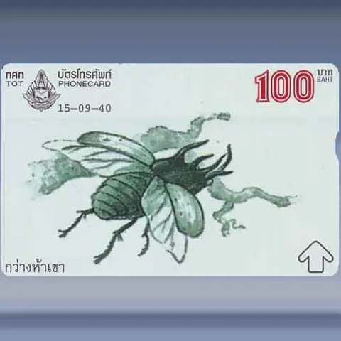 Animal Drawing (1/4) (1997)