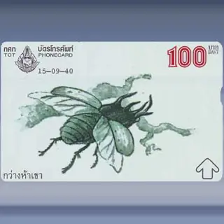 Animal Drawing (1/4) (1997)