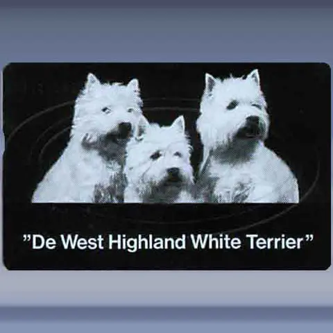De West Highland "White Terri&euml;r"