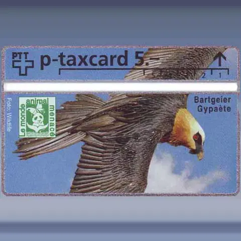 Bartgeier (401L) (1994)