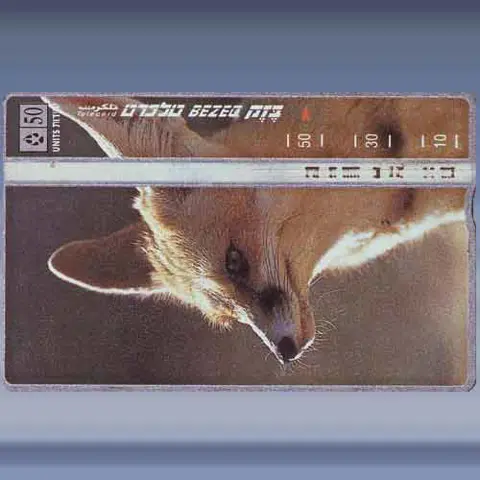 Vulpes rueppellii (1998)