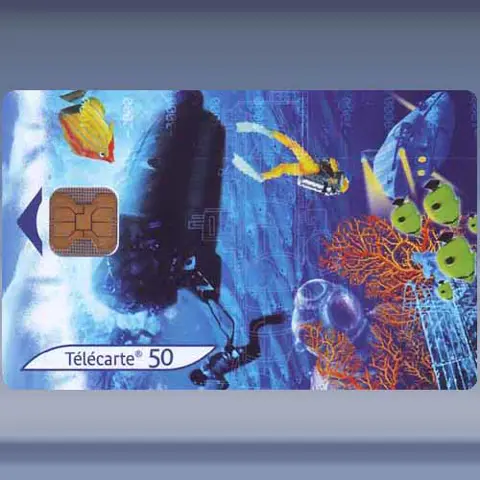 XXe Si&egrave;cle - Plong&eacute;e... (2012)