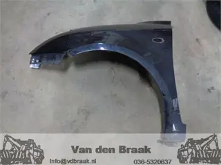 Suzuki Swift 2005-2010 Scherm links