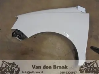 Volkswagen Polo 9N3 2005-2009 Scherm links voor