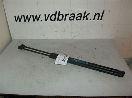 Citroen C4 Grand Picasso 2006-2010 Achterklepzuigers