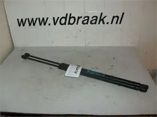 Citroen C4 Grand Picasso 2006-2010 Achterklepzuigers