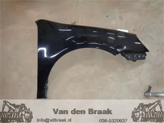 Volkswagen Golf Variant 2007-2009 Scherm rechts voor