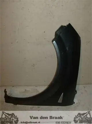 Renault (Grand) Scenic 2003-2009 Scherm links voor