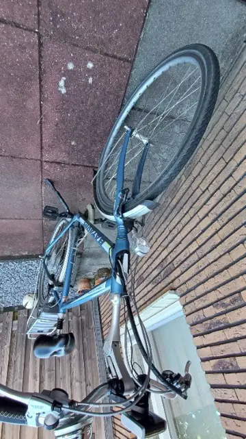 Batavus Herenfiets Electrisch