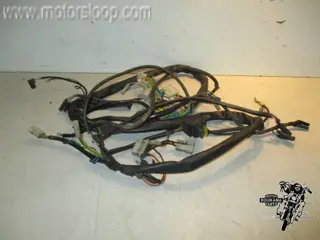 Aprilia Pegaso 650 Draadboom