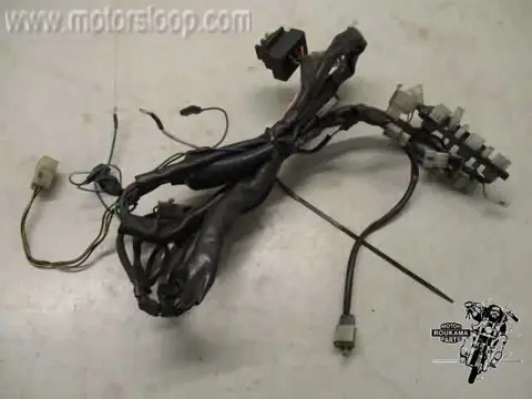 Aprilia Pegaso 650 Draadboom