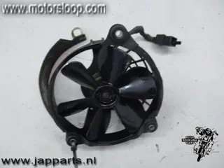 Aprilia Pegaso 650(ML00) Koelvin