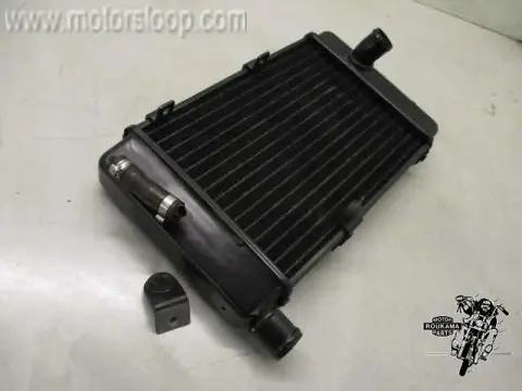 Aprilia RST1000(PW003) Radiateur links