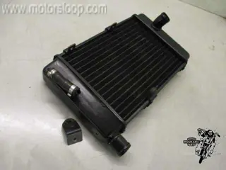 Aprilia RST1000(PW003) Radiateur links