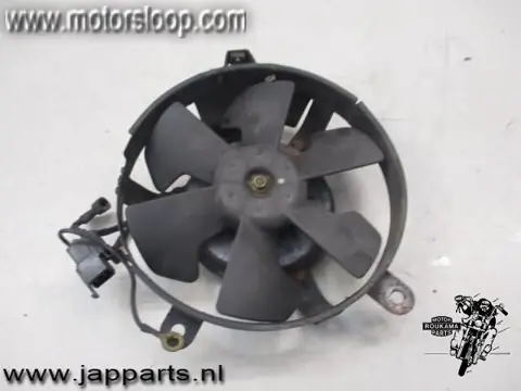 Honda CBR600F(PC31) Koelvin