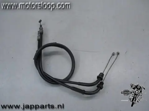 Honda CBR600F(PC35) Gaskabels