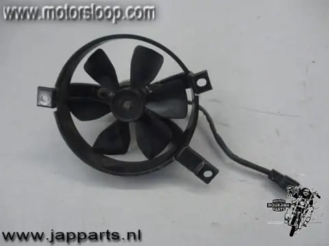 Honda CN250(MF02A) Koelvin