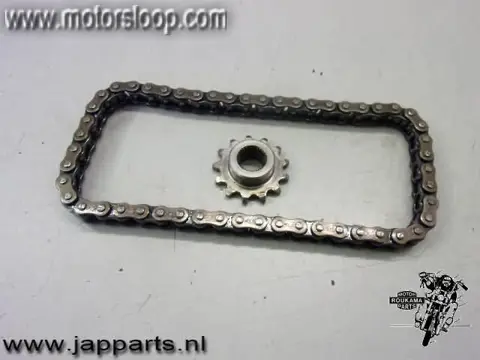 Honda GL1000(GL1) Startmotorketting met tandwiel
