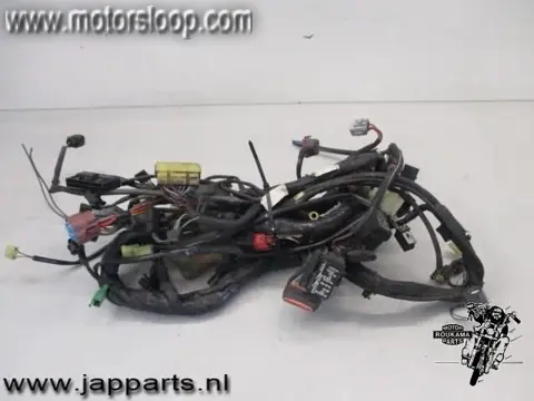 Honda ST1300 (SC51A) Draadboom H.I.S.S