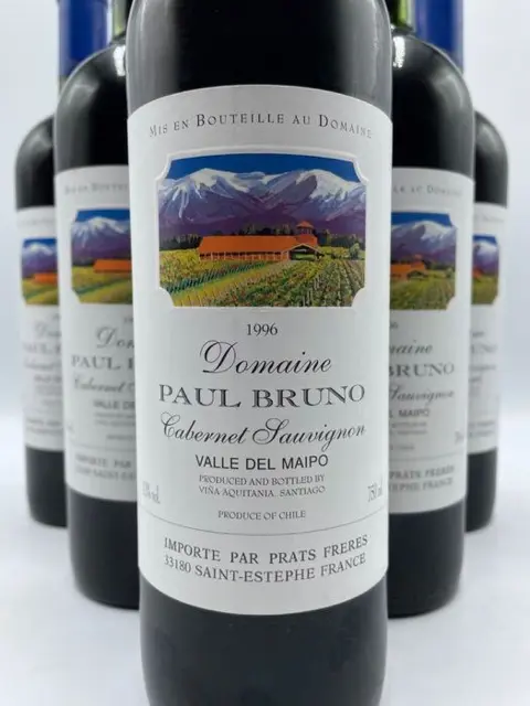 1996 Domaine Paul Bruno, Valle del Maipo - Maipo Valley - 6