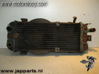 Honda VT700/VT750(RC19/1) Radiateur 2