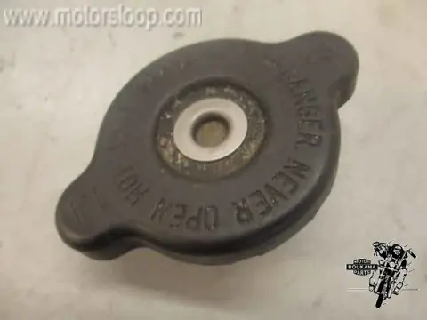 Kawasaki GPZ600R Radiateurdop