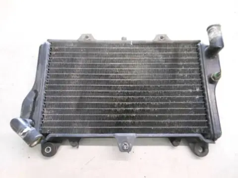 Kawasaki GPZ900R(A1-A6) Radiateur 39060-1059