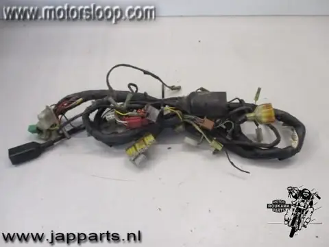 Kawasaki GPZ900R(ZX900A) Draadboom