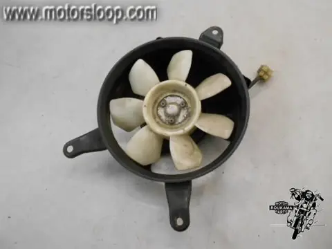 Kawasaki GPZ900R(ZX900A) Koelvin