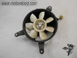 Kawasaki GPZ900R(ZX900A) Koelvin