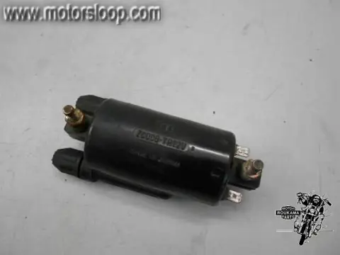 Kawasaki GTR1000(ZGT00A) Bobine
