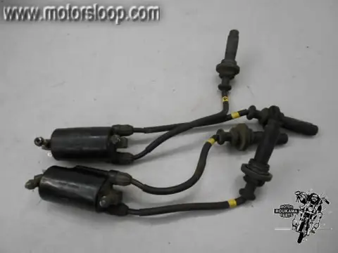 Kawasaki GTR1000(ZGT00A) Bobineset